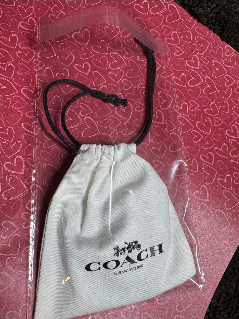 Coach Silver-Tone Crystal Center Stud Earrings with Drawstring Bag - Picture 9 of 9